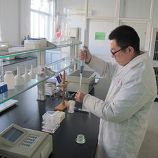 In-house Lab